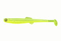Anchovy Shad