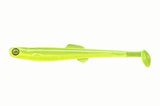 Anchovy Shad