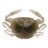Berkley-Gulp! Saltwater Peeler Crab-5cm-Natural Peeler-Hengelsport De Goeie Vangst