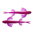 Bite On-Fury Softbait-9cm-Pink Lox-De Goeie Vangst
