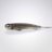 Bite On-Fury Softbait-9cm-Elektrik-De Goeie Vangst