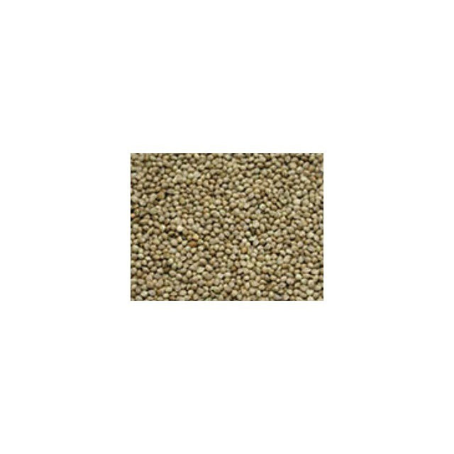 Capture Fishing-Hempseed - Hengelsport De Goeie Vangst