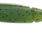 Dam-Effzett Shad-Fire Tiger-7cm-Hengelsport De Goeie Vangst