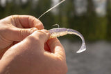 Fox Rage - Scent Shad - Hengelsport De Goeie Vangst