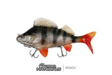Fox Rage-Ultra Natural Replicant – Giant Series-23cm-Natural Perch-Hengelsport De Goeie Vangst