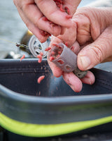 Maggot Feeders
