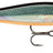 Rapala-Shadow Rap-HLW-7cm-Hengelsport De Goeie Vangst