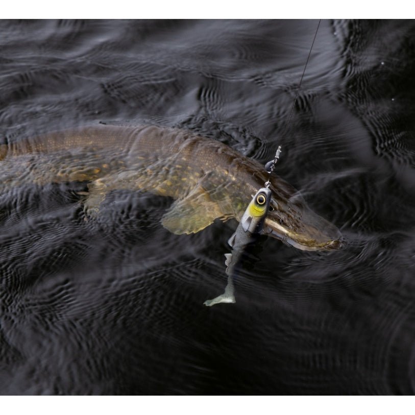 Kuore - Bigfoot Shad -  - Hengelsport De Goeie Vangst