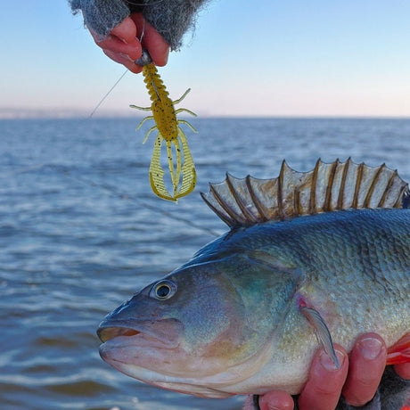 Kuore - Bouncer Creature Bait -  - Hengelsport De Goeie Vangst