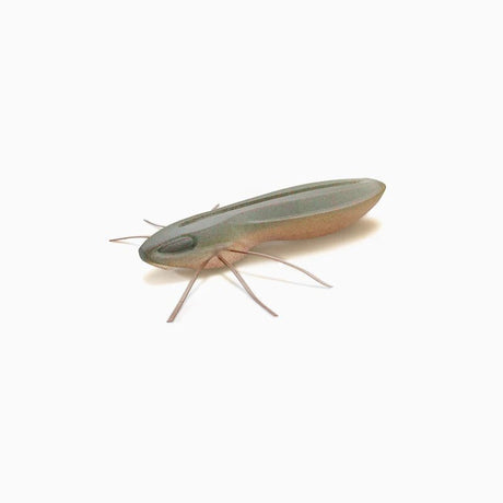 Nays - BG Creaturebait -  - Hengelsport De Goeie Vangst