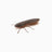 Nays-BG Creaturebait-2" / 5cm-C-27-Hengelsport De Goeie Vangst