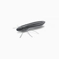 Nays-BG Creaturebait-2" / 5cm-C-31-Hengelsport De Goeie Vangst