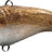 NEMO-Original NEMO® – 4cm / 9g-4cm-Delisha-Hengelsport De Goeie Vangst