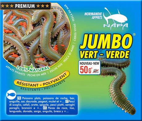 Normandie Appats-Jumbo Vert Premium Zeepieren - De Goeie Vangst