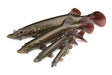 Fox Rage - Ultra - Realistic Pike Replicant - Hengelsport De Goeie Vangst