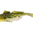 Westin-Gunnar The Goby Shad – Blisterverpakking-Headlight Goby-6.5cm-Hengelsport De Goeie Vangst