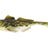 Westin-Gunnar The Goby Shad Losse Body-8cm-Spotted Goby-Hengelsport De Goeie Vangst