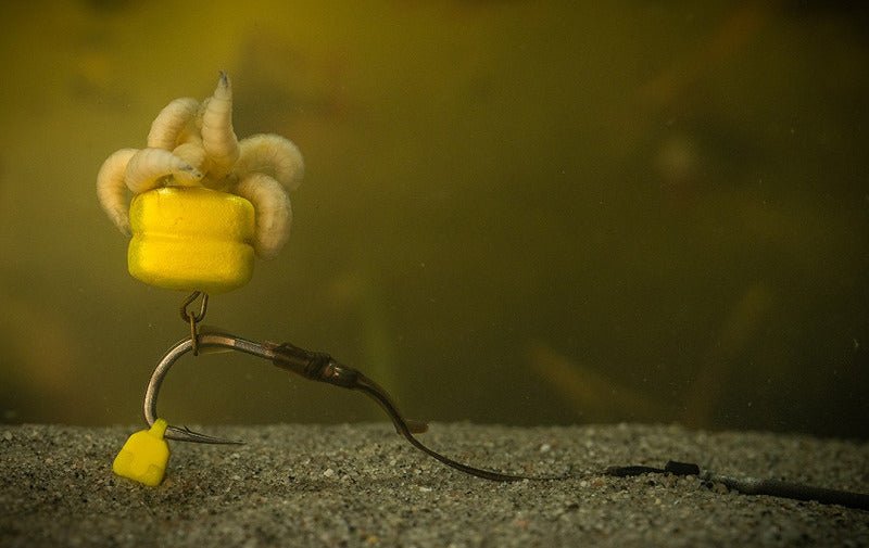 Pole Position-Tungsta Corn Shot On The Hook (8pcs)-S - Hengelsport De Goeie Vangst