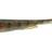 Prorex-Slim Shady-10.5cm-Gold Perch-Hengelsport De Goeie Vangst