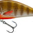 Salmo-Fatso Limited Edition-Brown Perch-14cm-Hengelsport De Goeie Vangst