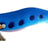 Ragot Begix Egi 10 cm – BPDN