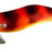 Ragot Begix Egi 10 cm – OBN