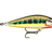 Rapala-Countdown Elite-5.5cm-Gilded Vairon-Hengelsport De Goeie Vangst