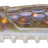 Rapala-CrushCity Salted NedRoll-Goby - Hengelsport De Goeie Vangst