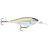 Rapala-Shad Rap Elite-Gilded Mangrove Minnow-5.5cm-Hengelsport De Goeie Vangst