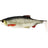 Westin-Ricky The Roach-Real Roach-10cm-Hengelsport De Goeie Vangst