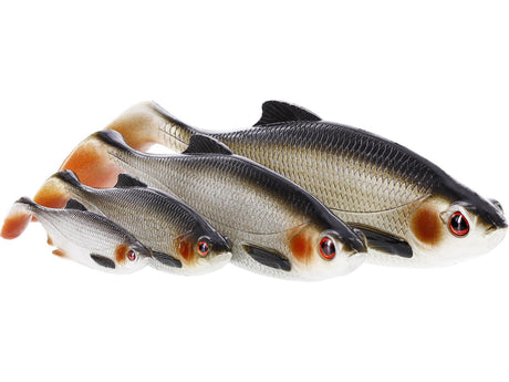 Westin - Ricky The Roach Shadtail - Blisterverpakking - Hengelsport De Goeie Vangst