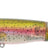 River2Sea-Whopper Plopper-6cm-Rainbow Trout-Hengelsport De Goeie Vangst