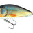 Salmo-Fatso Floating-10cm-Real Roach-Hengelsport De Goeie Vangst