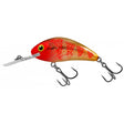 Salmo-Rattlin' Hornet Floating-6.5cm-Golden Red Head-Hengelsport De Goeie Vangst