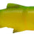 Savage Gear-3D LB Roach Swim & Jerk 7.5cm-Firetiger-7.5cm-Hengelsport De Goeie Vangst