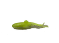 Savage Gear-Ned Goby-Clear chartreuse-7cm-Hengelsport De Goeie Vangst