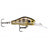 Rapala-Shadow Rap Fat Jack-Glassy Gill Uv-4cm-Hengelsport De Goeie Vangst