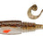 Berkley-Sick Curl Shad-Brown Bleak-8cm-Hengelsport De Goeie Vangst