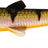 Westin-Bullteez-Bling perch-9.5cm-Hengelsport De Goeie Vangst