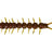 Westin-Centipede Creaturebait-9.5cm-Pumpkin Pepper-Hengelsport De Goeie Vangst