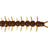 Westin-Centipede Creaturebait-9.5cm-UV Millipede-Hengelsport De Goeie Vangst