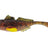 Westin-Gunnar The Goby Shad Losse Body-8cm-Appleseed-Hengelsport De Goeie Vangst
