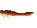 Westin-Odonata Ned Creaturebait-6.5cm-Motoroil Moss-Hengelsport De Goeie Vangst