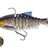 Westin-Ricky The Roach Multi Jointed R2F-14cm-Headlight UV Roach-Hengelsport De Goeie Vangst