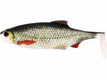 Westin-Ricky the Roach Shadtail Box-14cm-Real roach-Hengelsport De Goeie Vangst