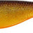Westin-Shadteez-9cm-Gold rush-Hengelsport De Goeie Vangst
