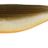 Westin-Shadteez-9cm-Dirty harbor-Hengelsport De Goeie Vangst