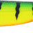Westin-Shadteez Slim-10cm-Tiger Perch-Hengelsport De Goeie Vangst