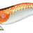 Williamson Killer Squid Shrimp 11 cm – PEARL