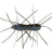 Z-Man-Fuzzy BugZ 1.75"-1.75" / 4.5cm-The Deal-Hengelsport De Goeie Vangst